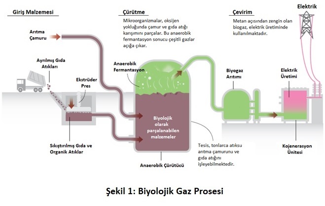 biyolojik_gaz_prosesi_blog_gorseli-2