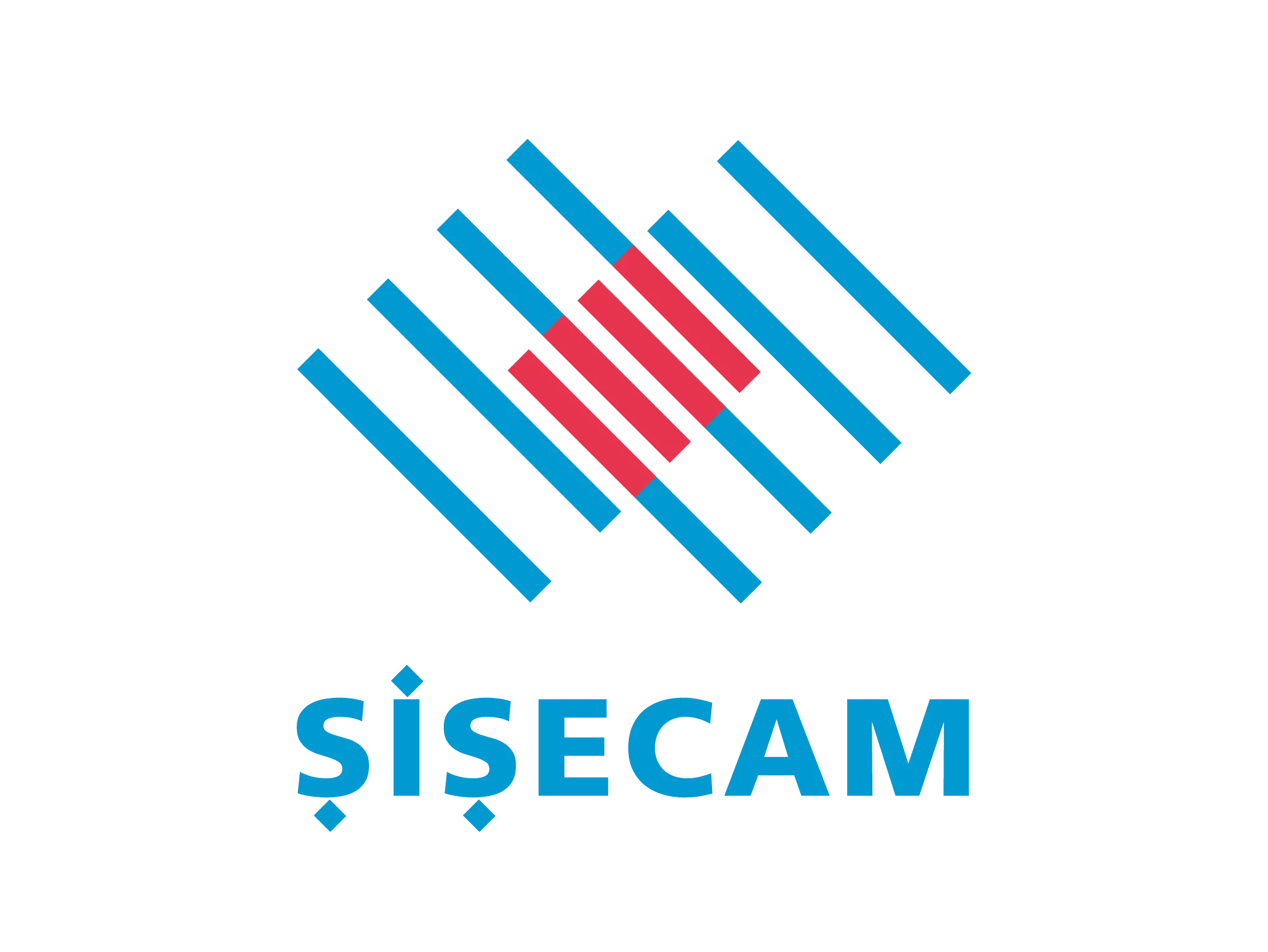 ŞİŞECAM Logo